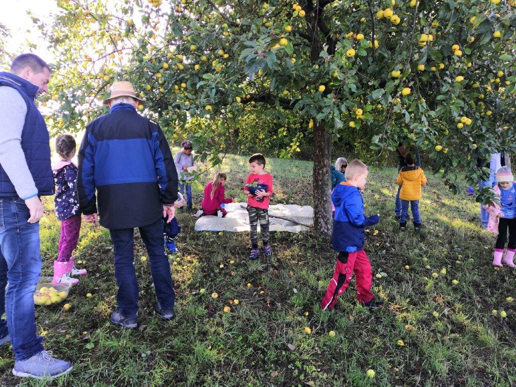 Foto Äpfel aufsammeln